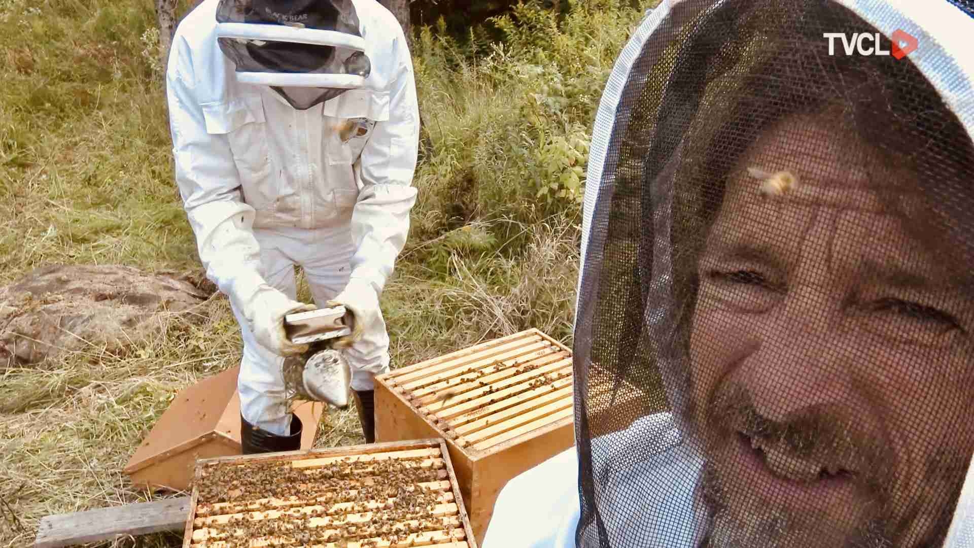 Le Randonneur Masqué - Le monde merveilleux des abeilles